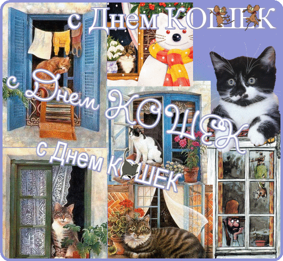 Скачать красивые анимационные Открытки ко дню кошек бесплатно.