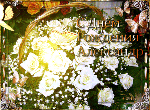 Открытки с именем Александр gif. Скачать бесплатно открытки с именем Александр.