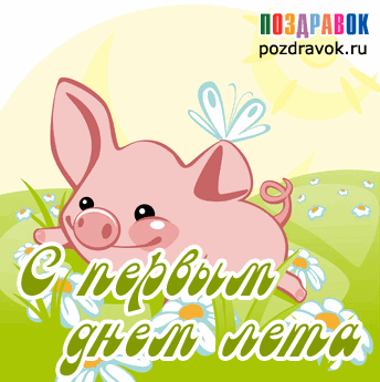 Открытки с первым днём лета скачать. Открытки с первым днём лета бесплатно.