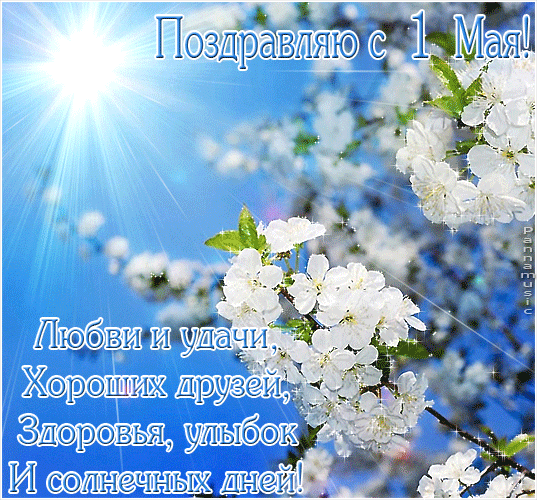 Открытки с 1 мая скачать бесплатно. Открытки на 1 мая gif.    