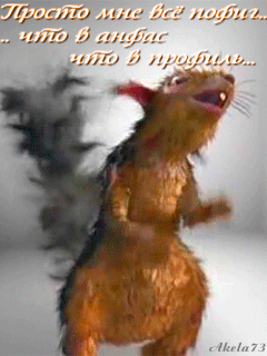  Открытки с белочками gif. Скачать бесплатно открытки с белками.