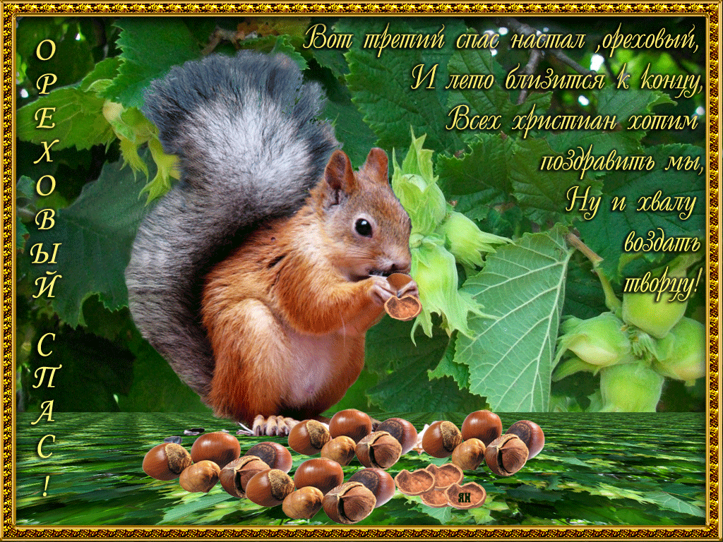 Открытки с Ореховым спасом скачать бесплатно. Открытки с Ореховым спасом с по...