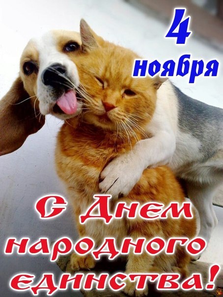 Открытки с днём народного единства скачать бесплатно gif.    