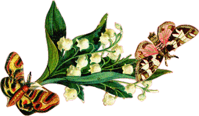 Открытки с ландышами скачать. Открытки с ландышами онлайн бесплатно.