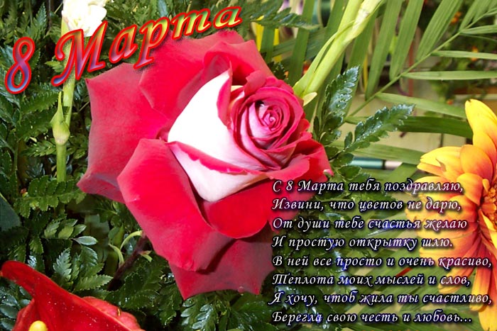 Скачать Открытки с 8 марта. Поздравления Международный Женский День.