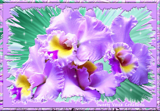 Открытки с ирисами скачать. Открытки с ирисами бесплатно онлайн.