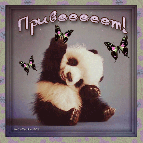 Открытки с пандой скачать бесплатно. Открытки с пандой gif.