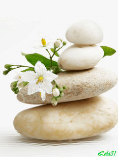 Открытки с цветами жасмина скачать. Открытки с цветами жасмина анимационные.