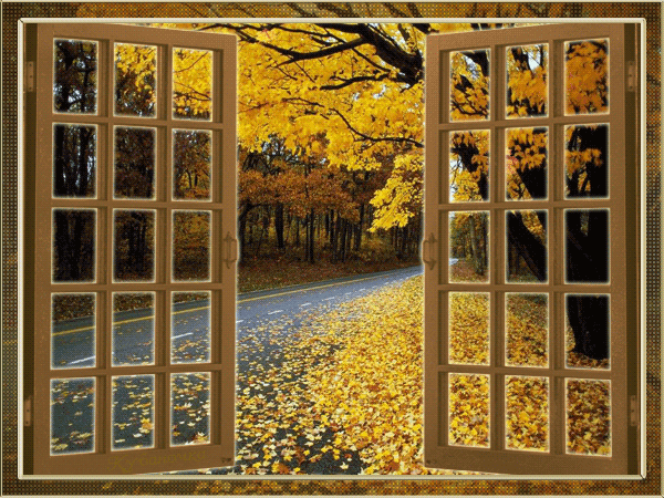 Открытки с осенним лесом скачать. Открытки с осенним лесом бесплатно.