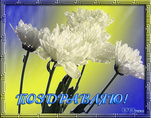 Открытки с белыми хризантемами анимационные. Открытки с белыми хризантемами gif.