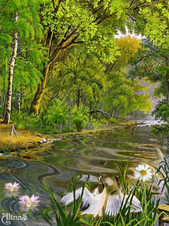 Открытки с летним лесом бесплатно онлайн. Красивые открытки с лесом.