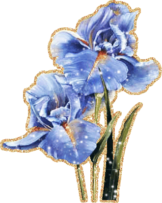 Открытки с ирисами скачать. Открытки с ирисами бесплатно онлайн.