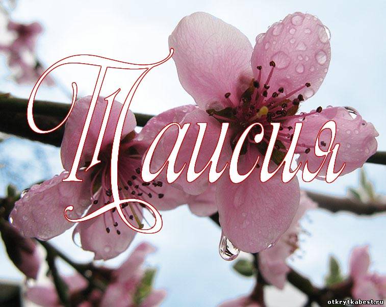 Открытки с именем Таисия скачать бесплатно. Открытки с именем Тася.