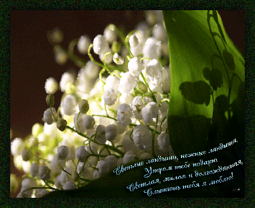 Открытки с ландышами скачать. Открытки с ландышами онлайн бесплатно.