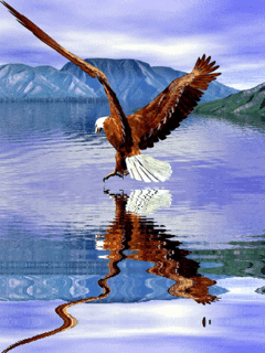 Открытки с орлом скачать бесплатно. Открытки с орлом онлайн.