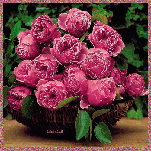 Открытки с розовыми пионами скачать бесплатно. Открытки с розовыми пионами он...