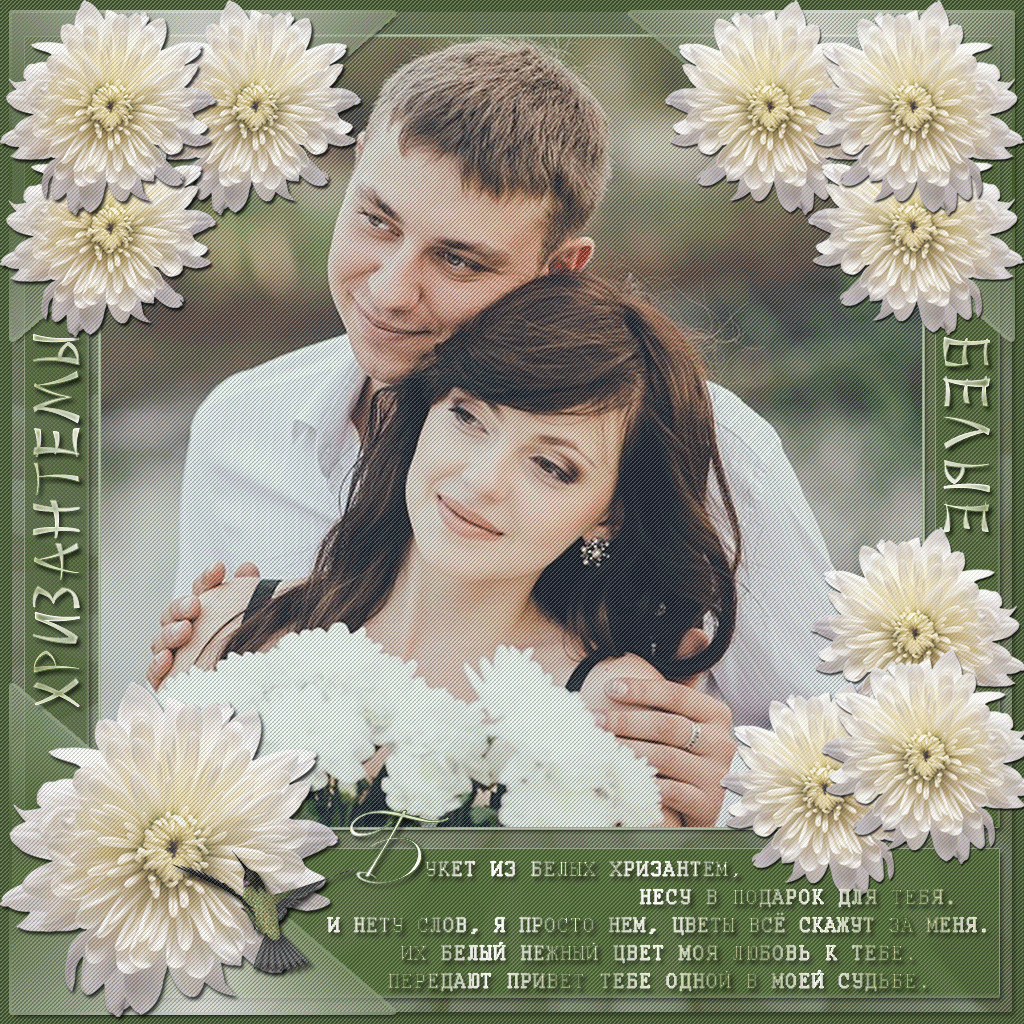 Открытки с белыми хризантемами анимационные. Открытки с белыми хризантемами gif.