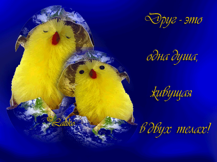 Бесплатные Открытки о дружбе скачать. Открытки о дружбе с анимациями.