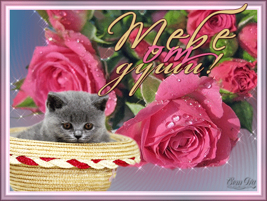 Красивые Открытки для тебя скачать  бесплатно. Открытки для тебя gif.