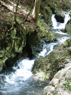 Открытки с ручьями с анимациями. Красивые открытки с ручьями.