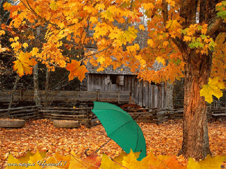 Открытки с листопадом скачать. Открытки с листопадом бесплатно.