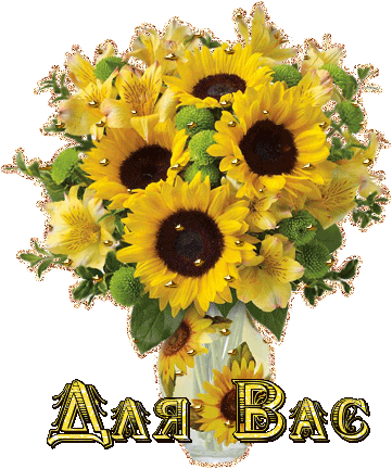 Открытки с подсолнухами скачать бесплатно. Открытки с подсолнухами gif.