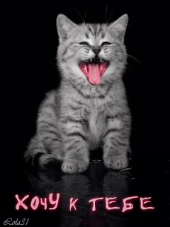 Открытки хочу к тебе gif. Анимационные открытки хочу к тебе.