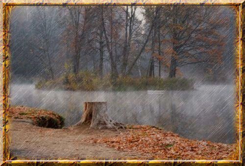 Открытки с дождём скачать бесплатно. Открытки с дождём с анимациями.