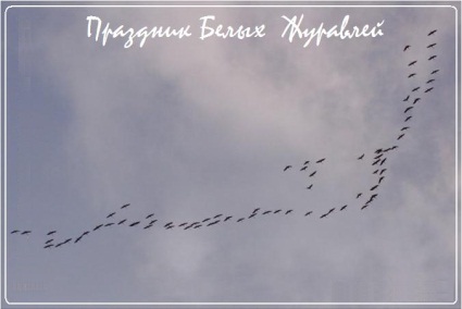 Открытки с праздником белых журавлей скачать бесплатно.     