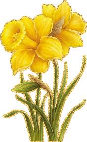 Открытки с желтыми нарциссами скачать бесплатно. Открытки с желтыми нарциссам...