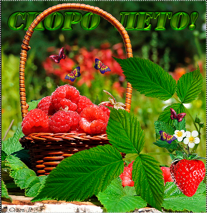 Красивые открытки лето. Скачать бесплатно открытки лето gif.