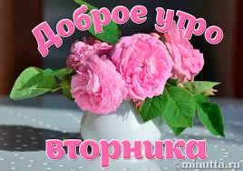 Открытки на вторник скачать. Открытки на вторник бесплатно онлайн.