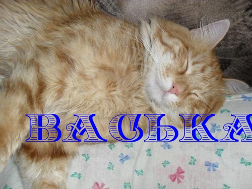 Открытки с именем Василий скачать бесплатно. Открытки ко дню рождения Вася.