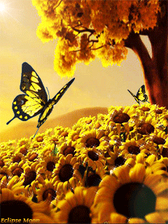 Открытки с подсолнухами в поле скачать бесплатно. Открытки с подсолнухами в п...