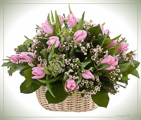 Открытки с тюльпанами в корзине скачать бесплатно. Открытки с тюльпанами в ко...