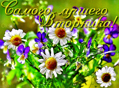 Открытки на вторник скачать. Открытки на вторник бесплатно онлайн.