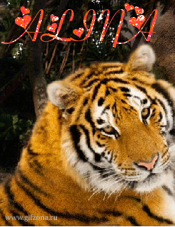 Открытки с именем Алина gif. Открытки с именем Алина скачать бесплатно.