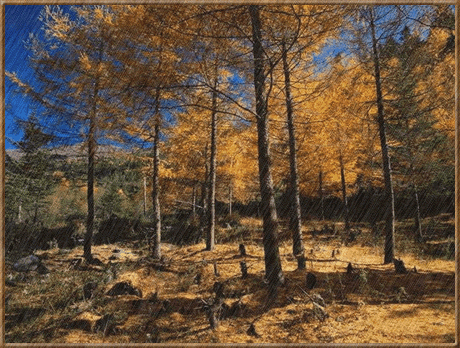 Открытки с осенним лесом скачать. Открытки с осенним лесом бесплатно.