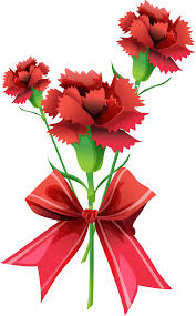 Открытки с гвоздиками скачать. Открытки с гвоздиками онлайн.