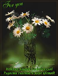 Открытки с букетом ромашек скачать бесплатно. Открытки с букетом ромашек онлайн.