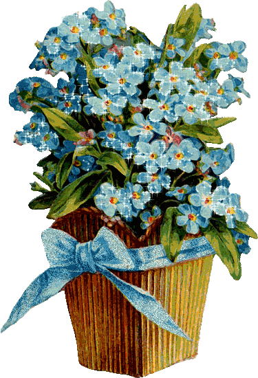 Открытки с незабудками бесплатно. Открытки с незабудками анимационные.