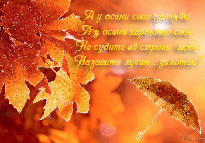 Золотая Осень Фото Скачать Бесплатно