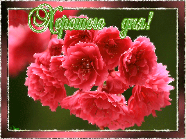 Открытки с пожеланиями хорошего дня. Скачать открытки хорошего дня.