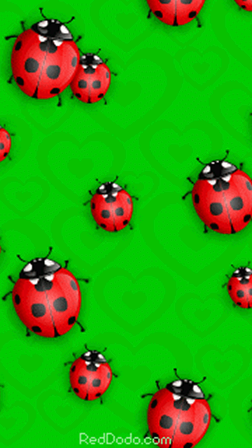 Открытки с божьей коровкой скачать бесплатно. Открытки с божьей коровкой онлайн.