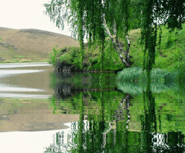 Открытки с рекой скачать. Открытки с реками бесплатно онлайн.