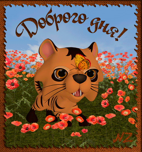 Красивые открытки с тиграми. Скачать бесплатно открытки с тиграми.