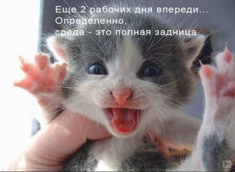 Открытки на среду скачать. Открытки на среду с пожеланиями бесплатно.