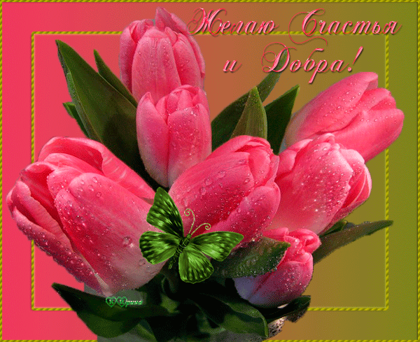 Скачать бесплатные Открытки желаю счастья. Открытки желаю счастья с анимациями.