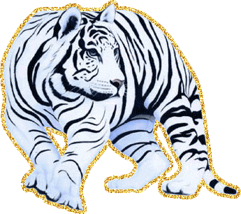 Открытки с белым тигром скачать. Открытки с белым тигром бесплатно.