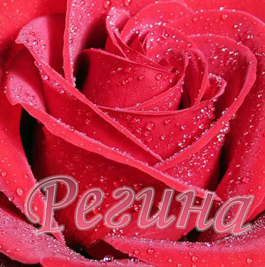 Открытки с именем Регина скачать бесплатно. Открытки с именем Регина с поздра...